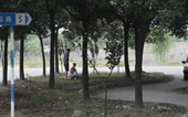 金球驾校曲线行驶训练